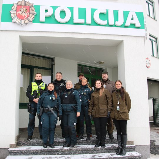 Iliustracija