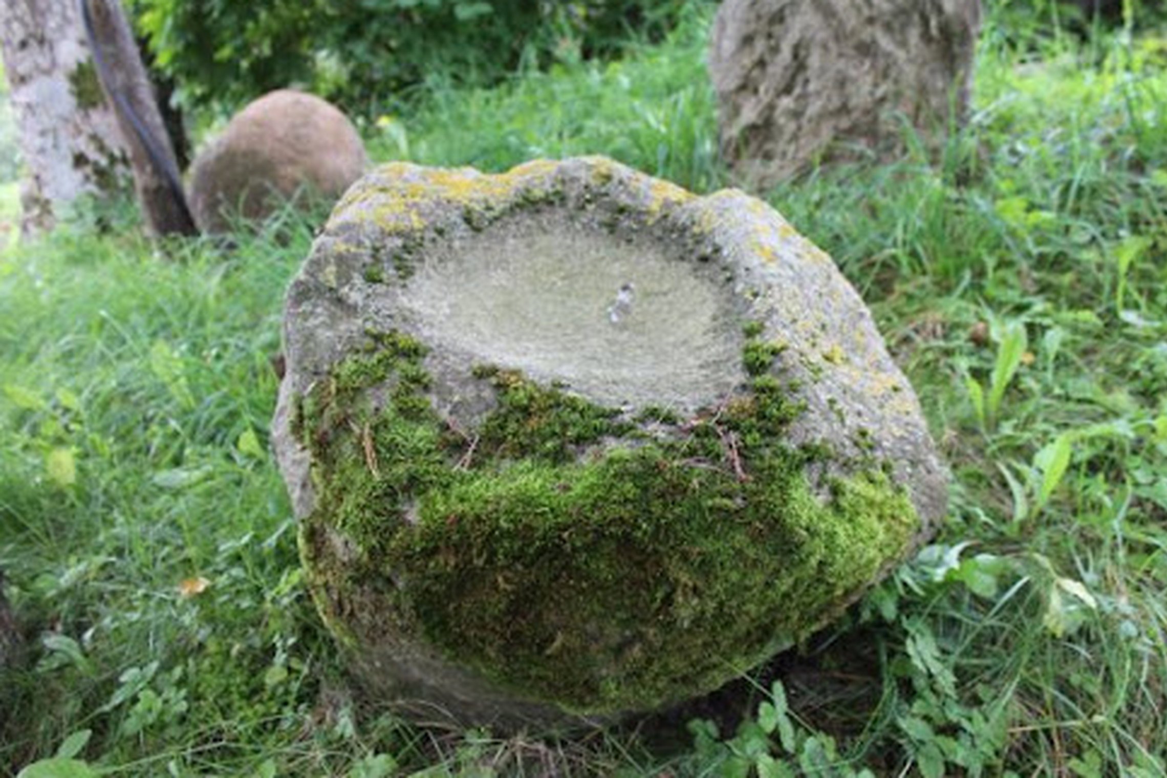 Iliustracija