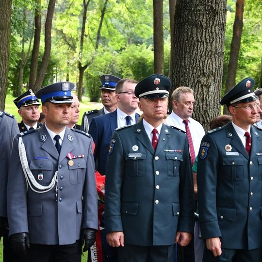 Iliustracija
